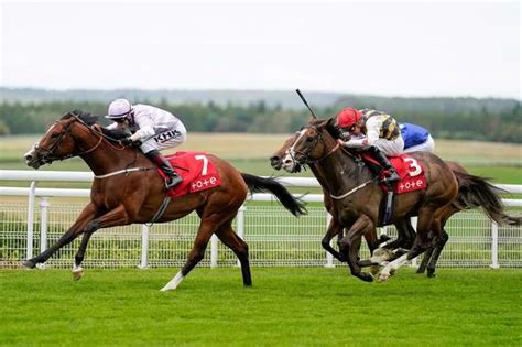 prince of wales stakes 2022|Full Result 3.40 Ascot .